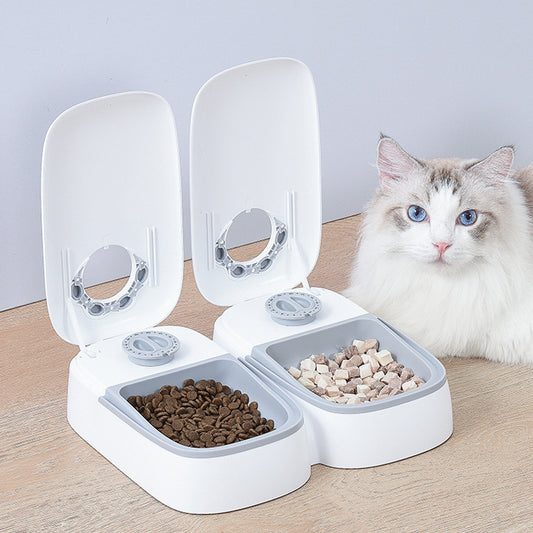 Automatisk tidsinställd foderstation- perfekt för hund och katt