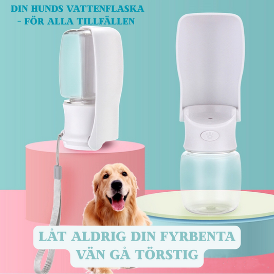 Vattenflaska- Enkel tillgång till vatten för din hund på varje promenad!